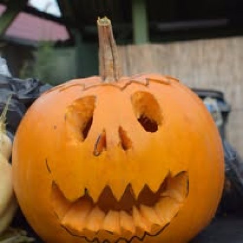 489645797_9358269877613716_6713912622091906807_n